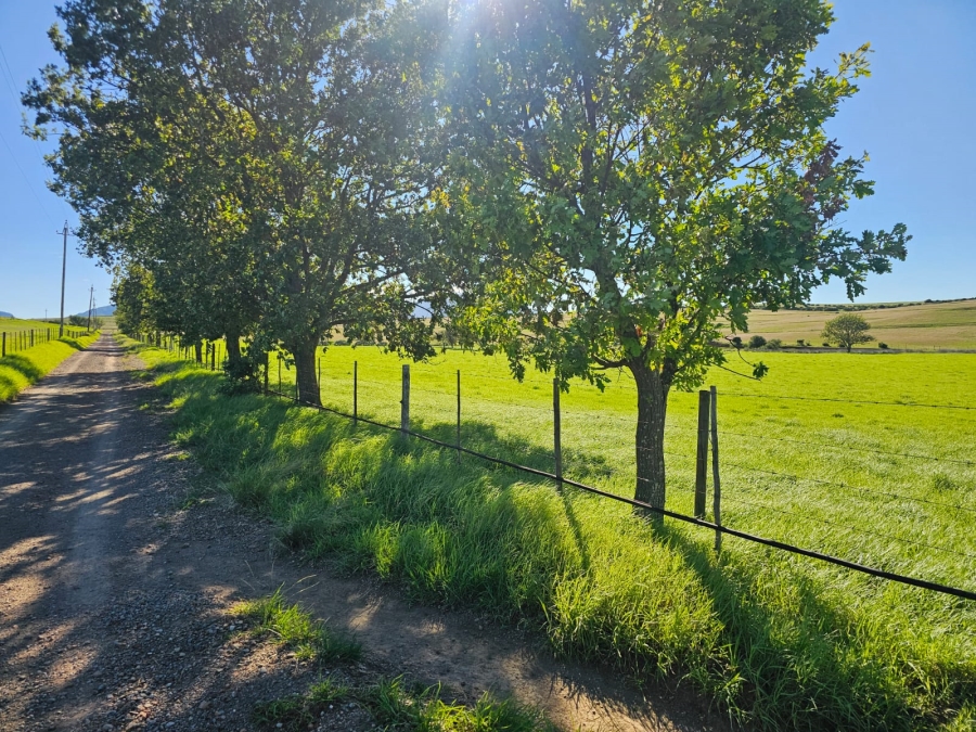 4 Bedroom Property for Sale in Riversdale Rural Western Cape